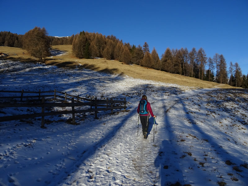 Cimon di Bolentina m. 2287 - Piz di Montes m. 2368